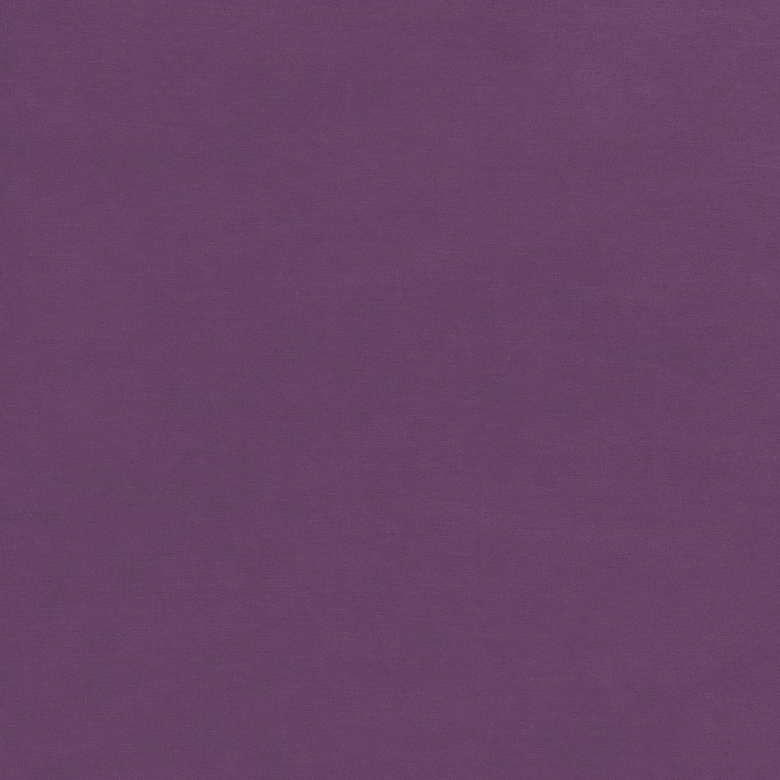 Bio Nicky purple passion