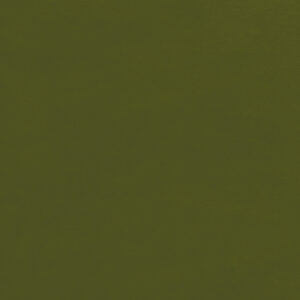 Bio Nicky Cedar Green