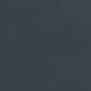 Bio Nicky bering sea