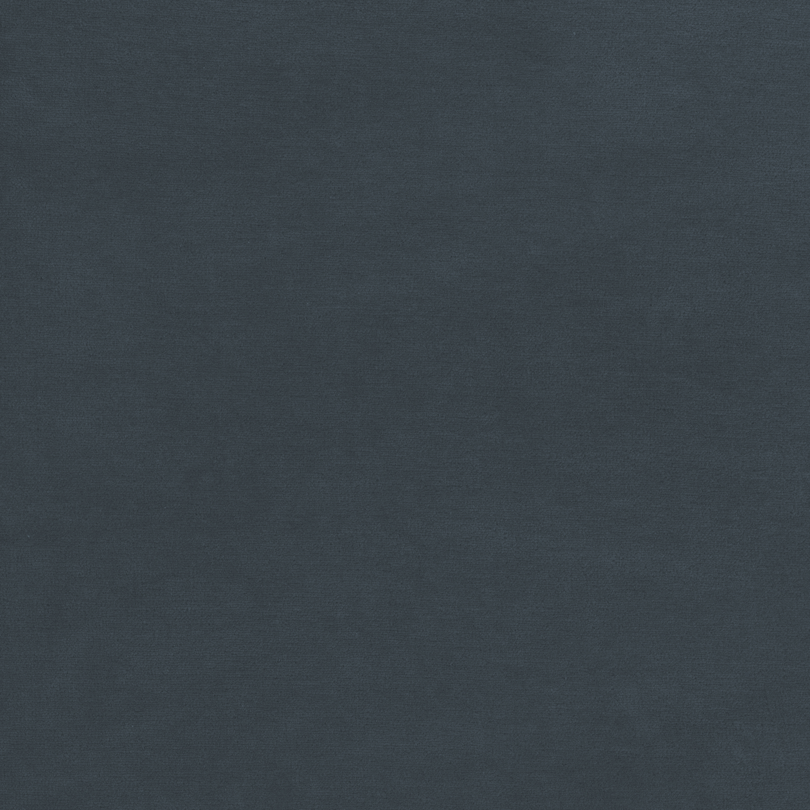 Bio Nicky bering sea